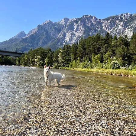 Dom wakacyjny Haus Romsicht Karinthie *