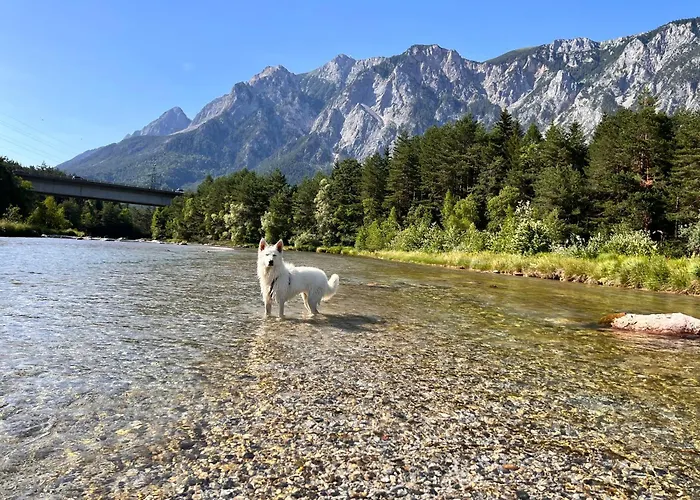 בית נופש Haus Romsicht Karinthie *